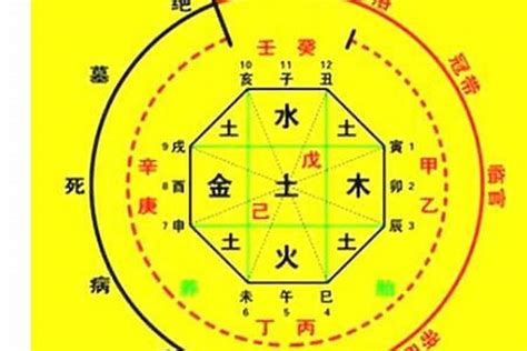 免費喜用神|八字喜用神查询